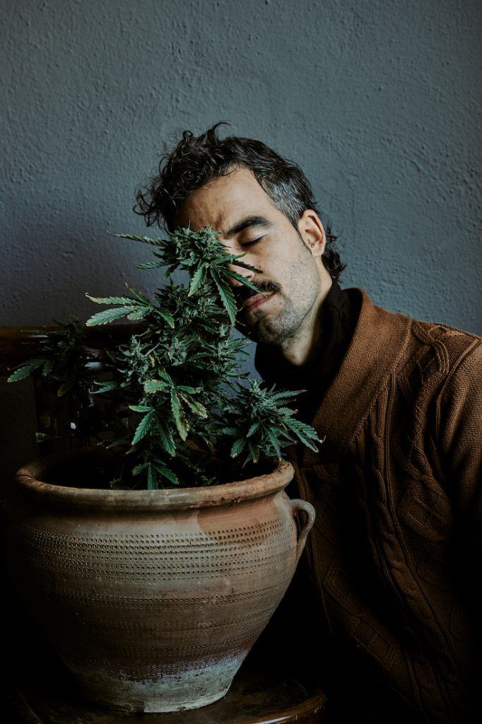 A Young Brown Haired Man Smelling His Marijuana Plant At Home